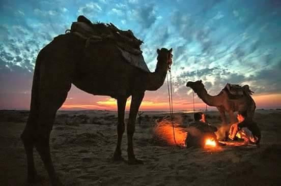 Trishul Desert Resort主图