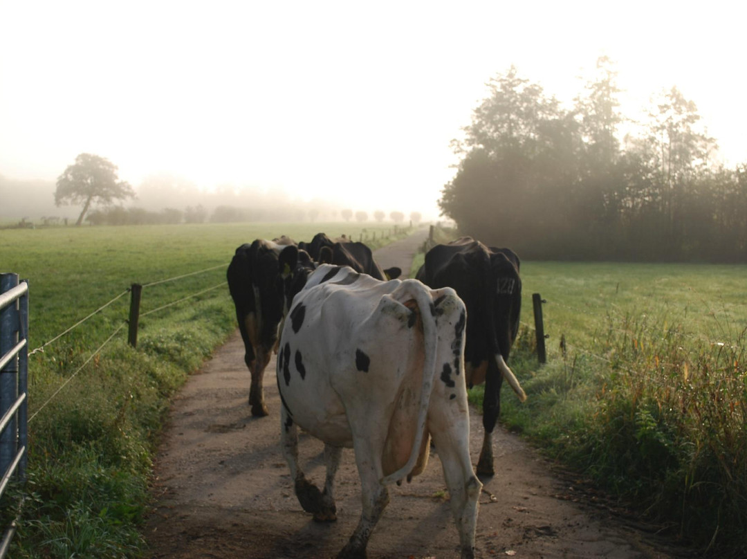 Farm Visit