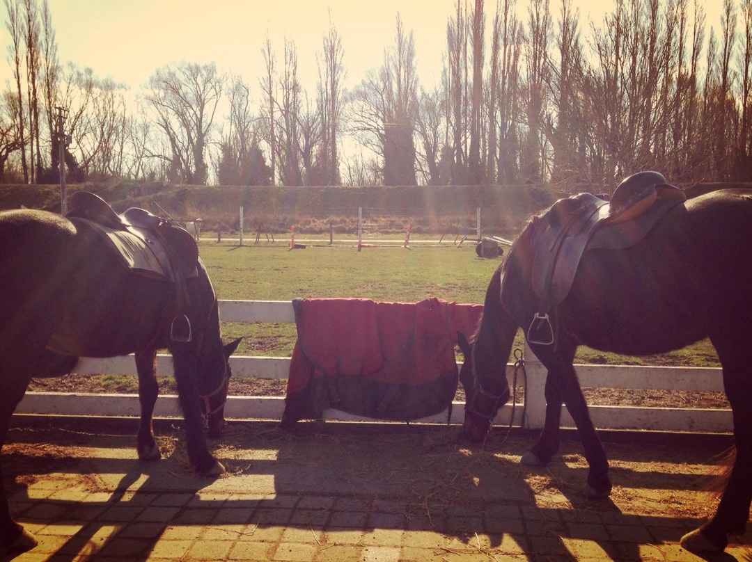 Waimak River Riding Centre Limited-基督城必去景点