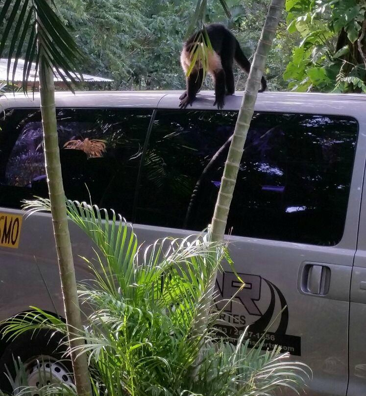 LAR Transportes-萨迪纳尔必去景点