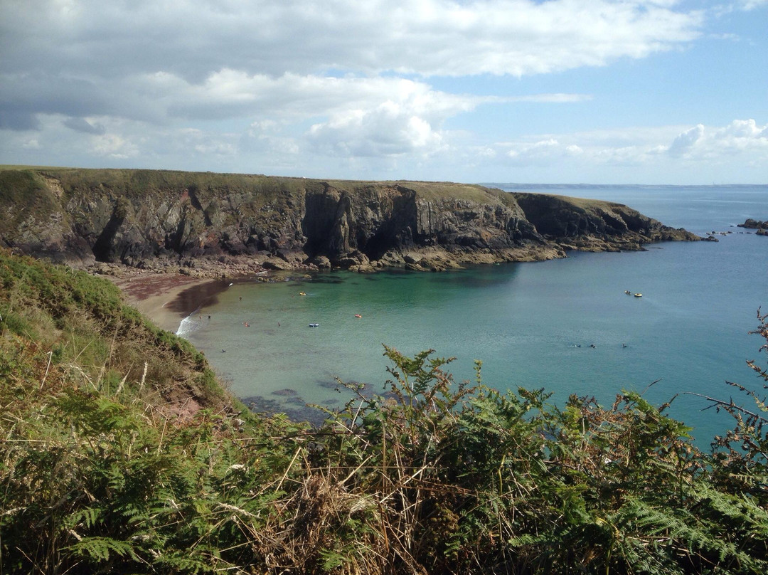 Wales Coastal Path-St. Davids必去景点