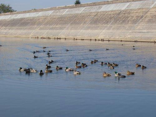 Lac de Bouzey景点图片