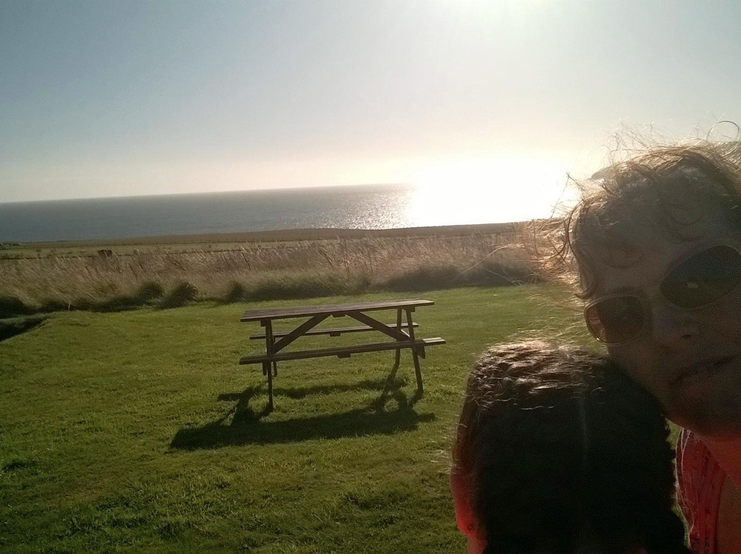 Cardigan Island Coastal Farm Park-Cardigan必去景点