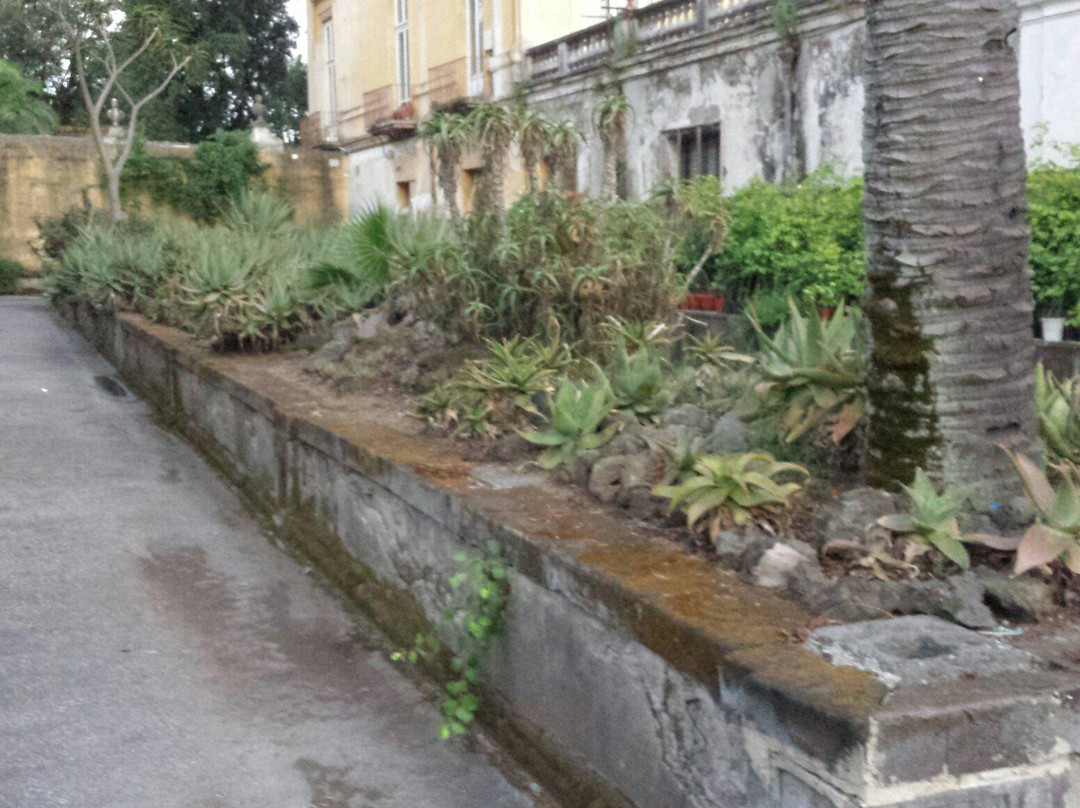 Orto Botanico della Facolta di Agraria景点图片