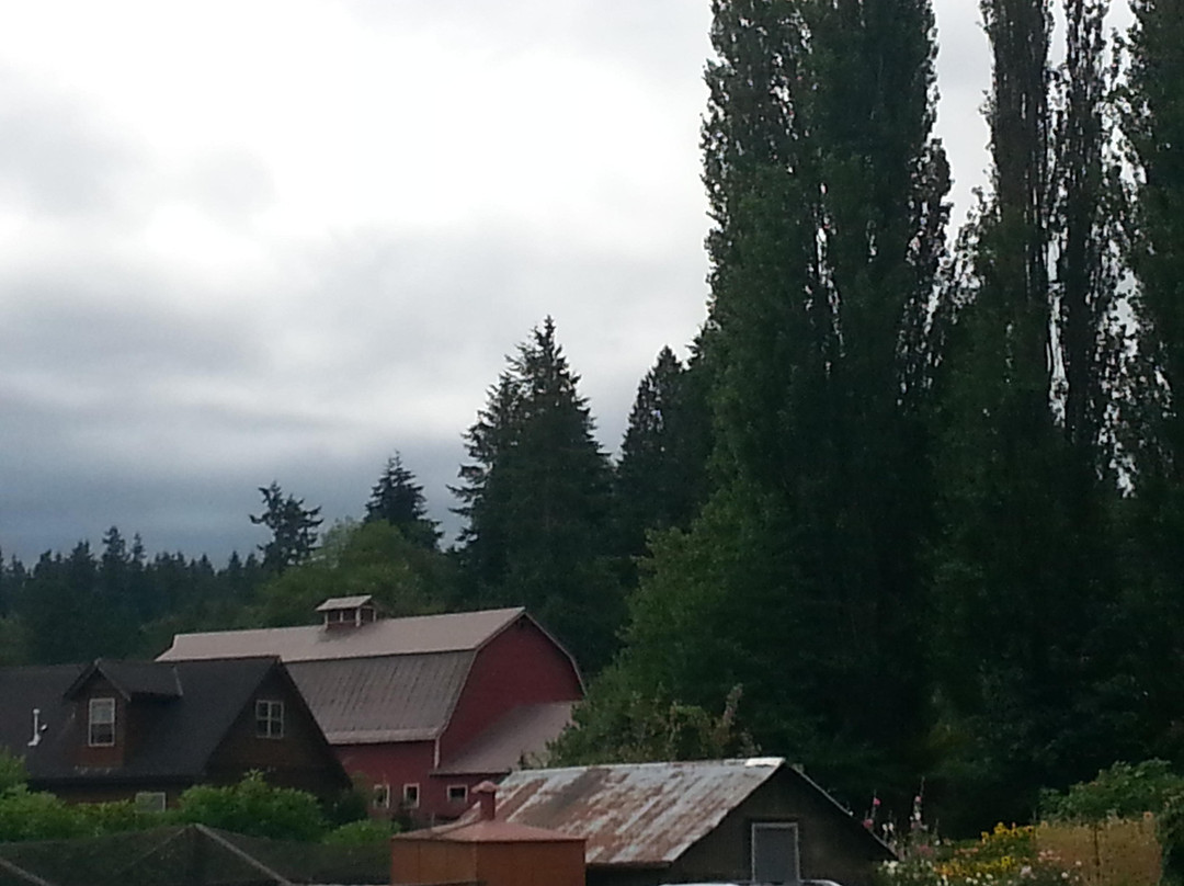 Mountainview Blueberry Farm景点图片
