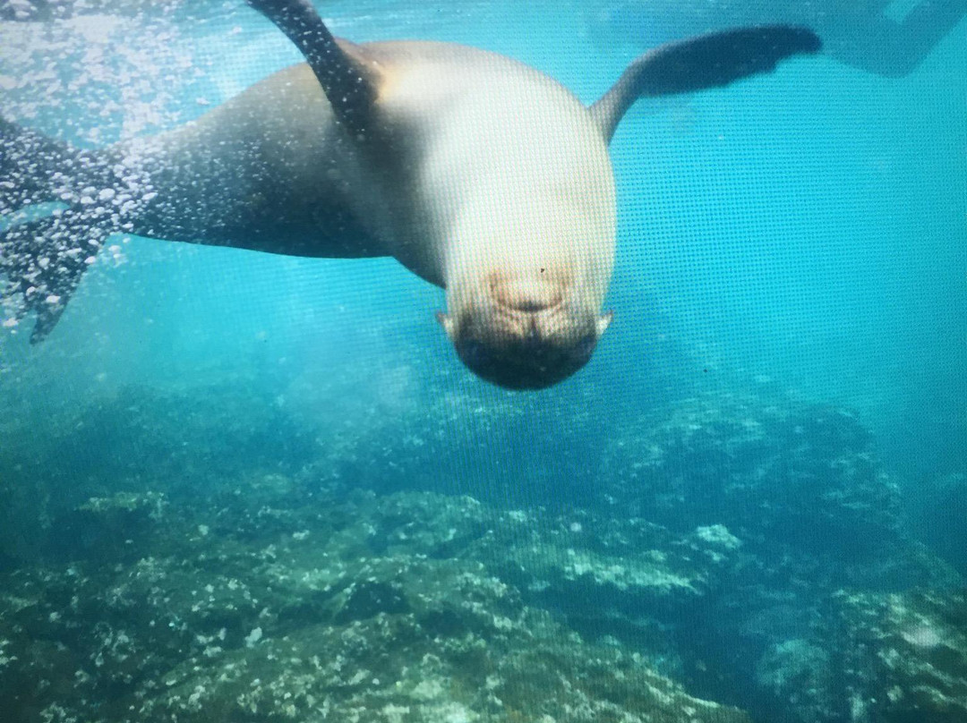 Galapagos For You-阿约拉港必去景点