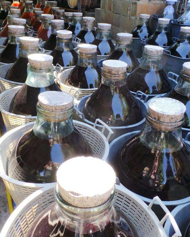 Vinaigrerie La Guinelle-Port-Vendres必去景点