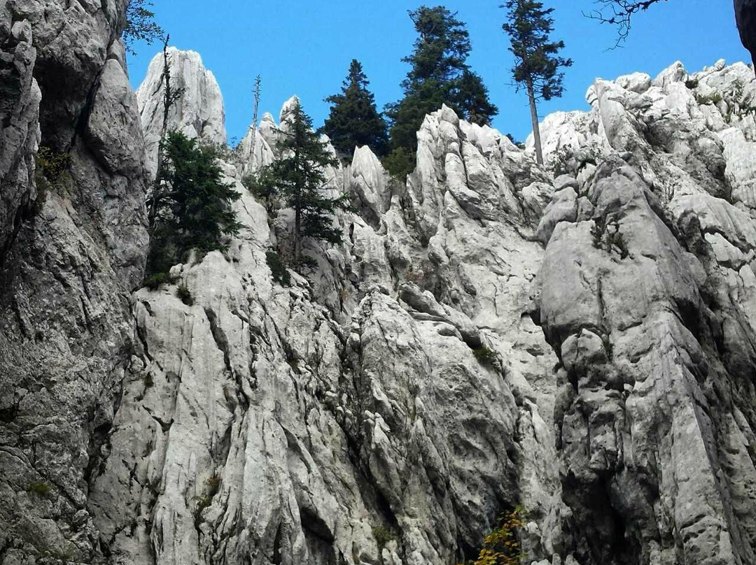 Bijele & Samarske Stijene景点图片