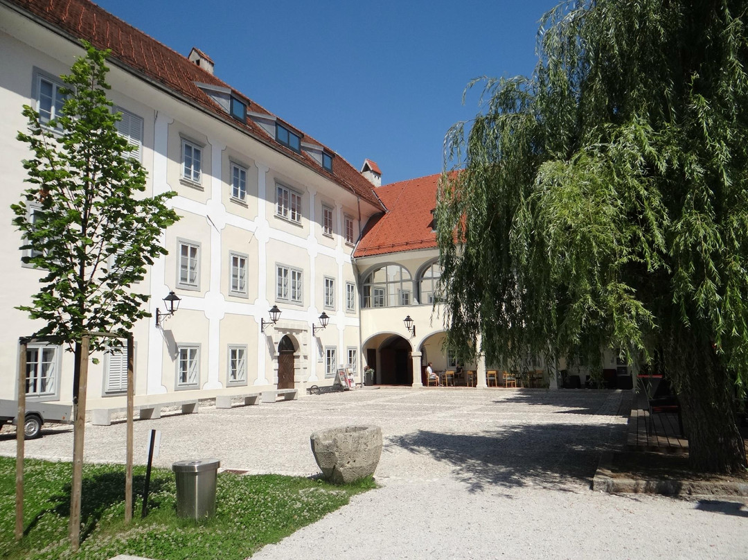 Khislstein Castle and Country Mansion景点图片