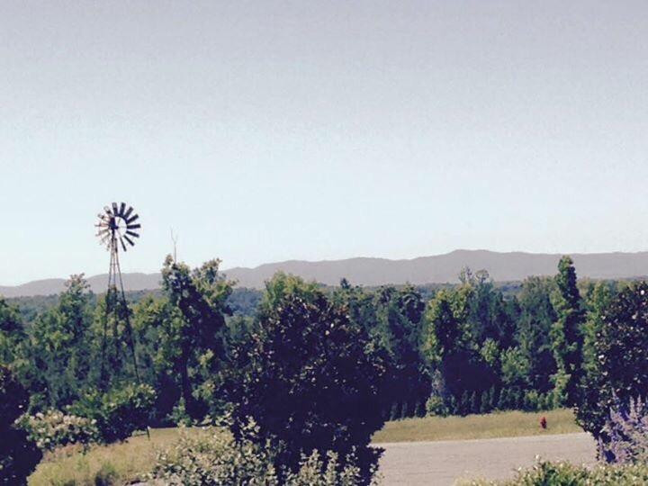 Owl's Eye Vineyard and Winery-Shelby必去景点