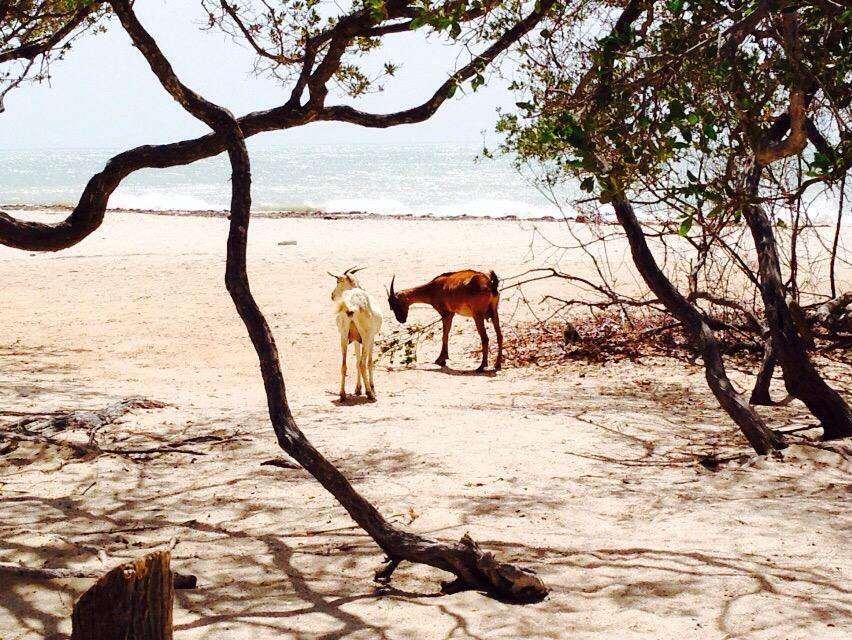 Flamingo Azul Mayapo-Mayapo必去景点