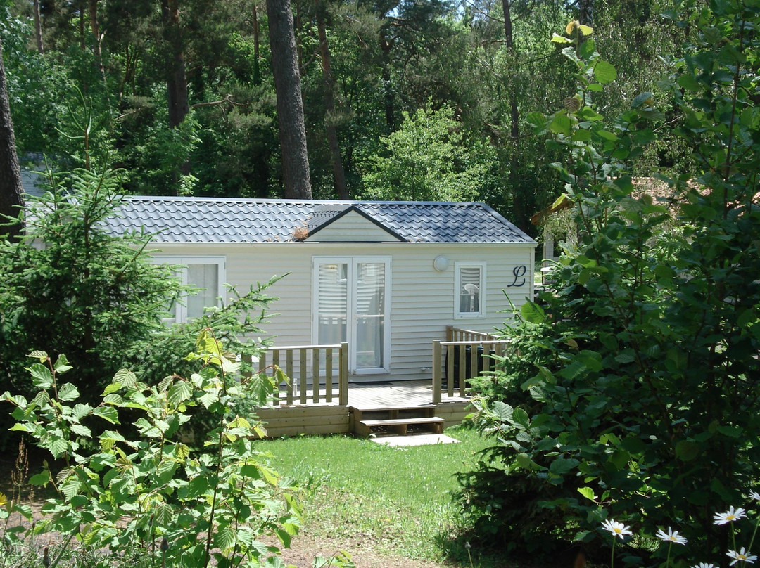 Camping Paradis du Lac d'Aydat
