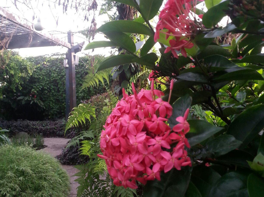 The Secret Garden Utama景点图片