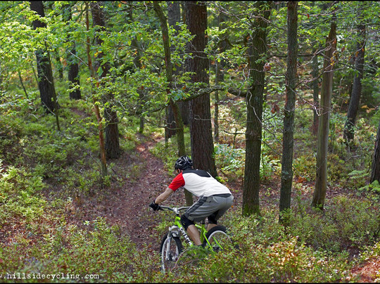 Hillside Cycling - Guided Mountainbike Tours-哥德堡必去景点