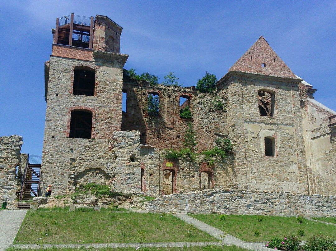 Ruiny Warownego Klasztoru Karmelitow Bosych景点图片