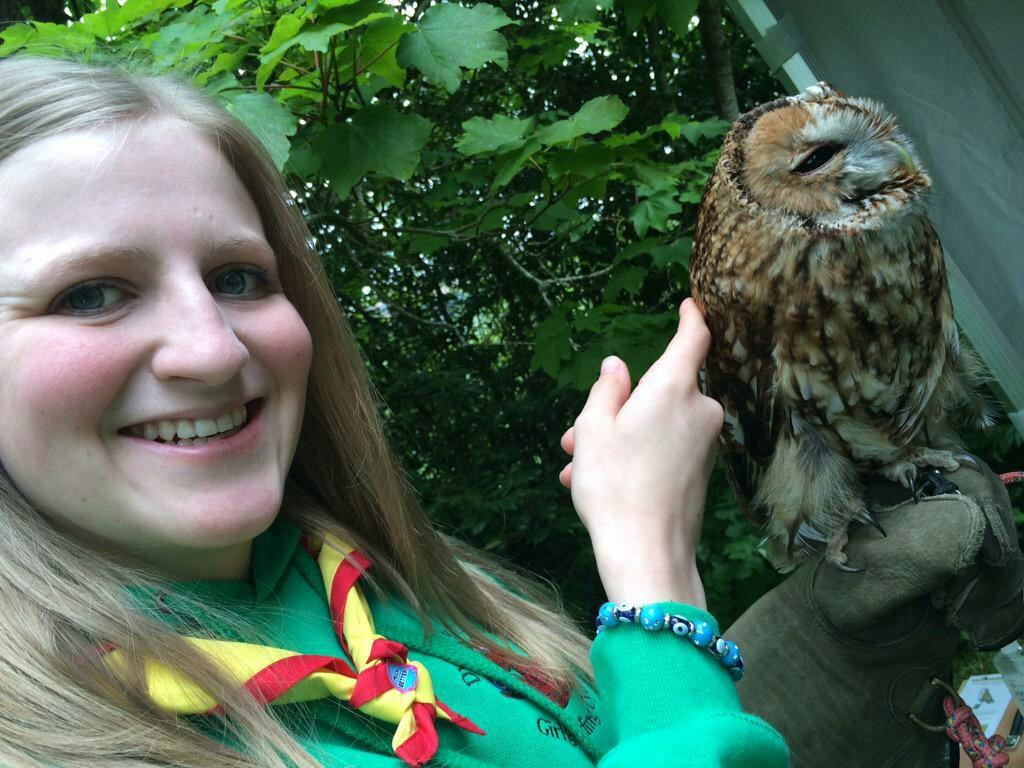 North Wales Owl Sanctuary景点图片
