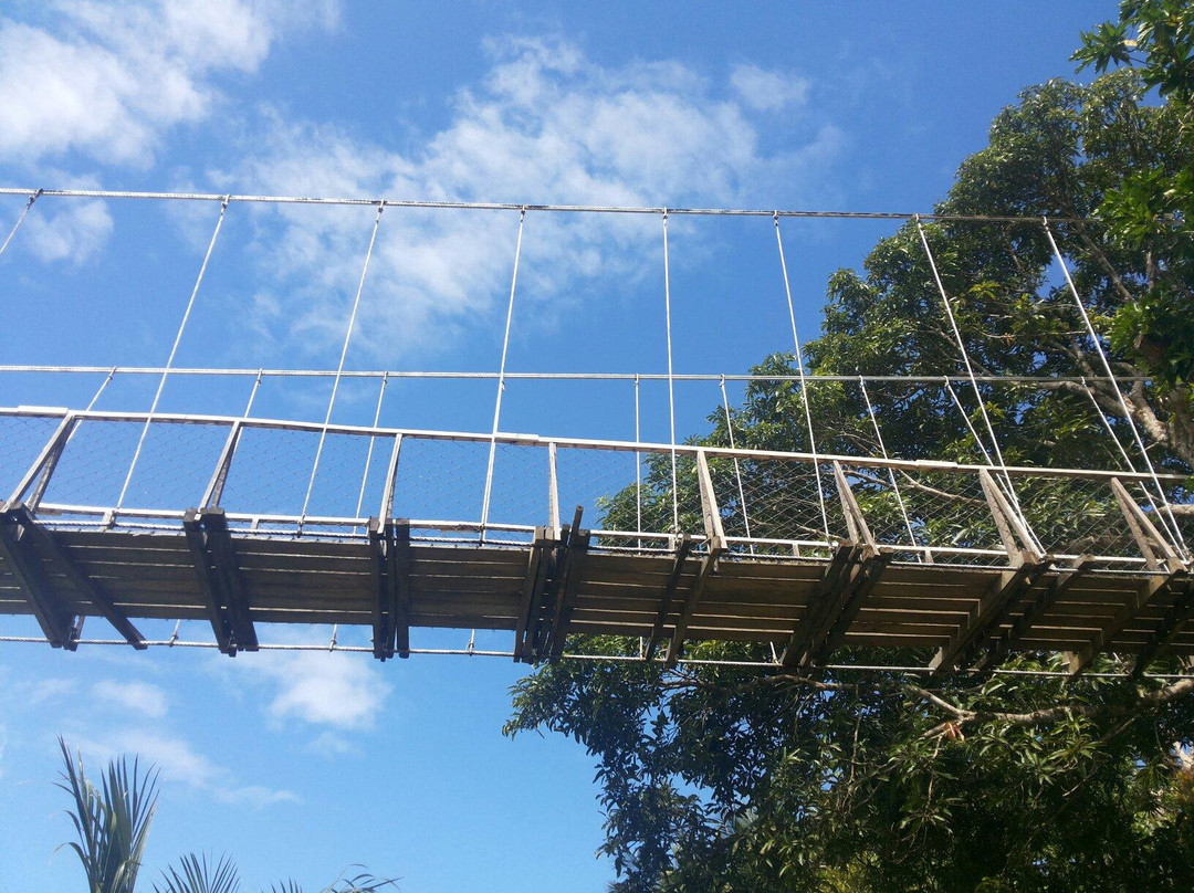 Baler Hanging Bridge景点图片