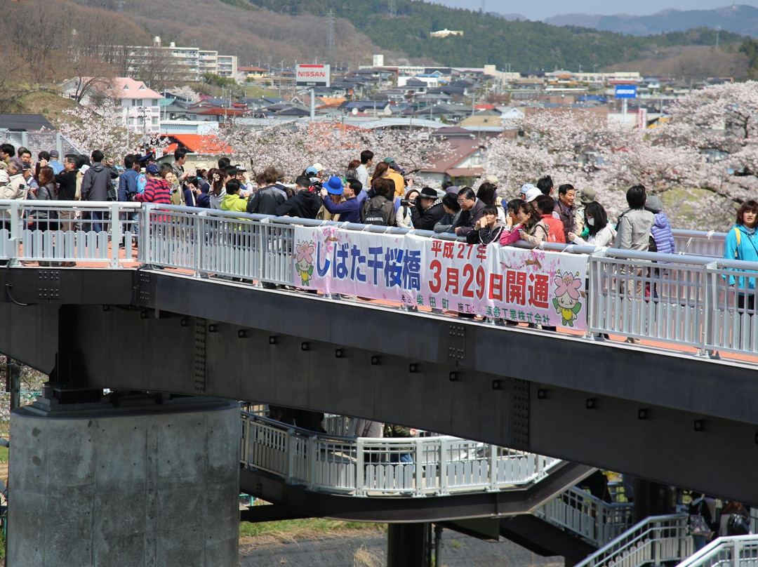Shibata Senokyo Bridge-柴田町必去景点