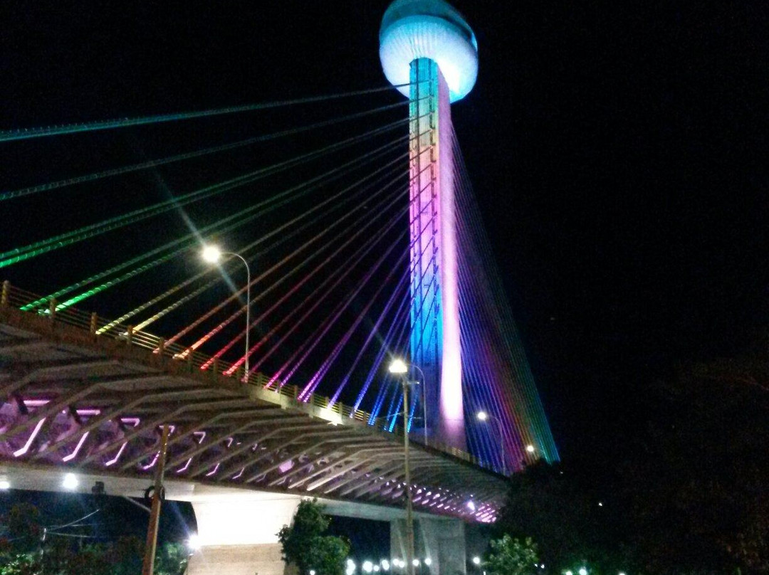 Ponte Estaiada景点图片