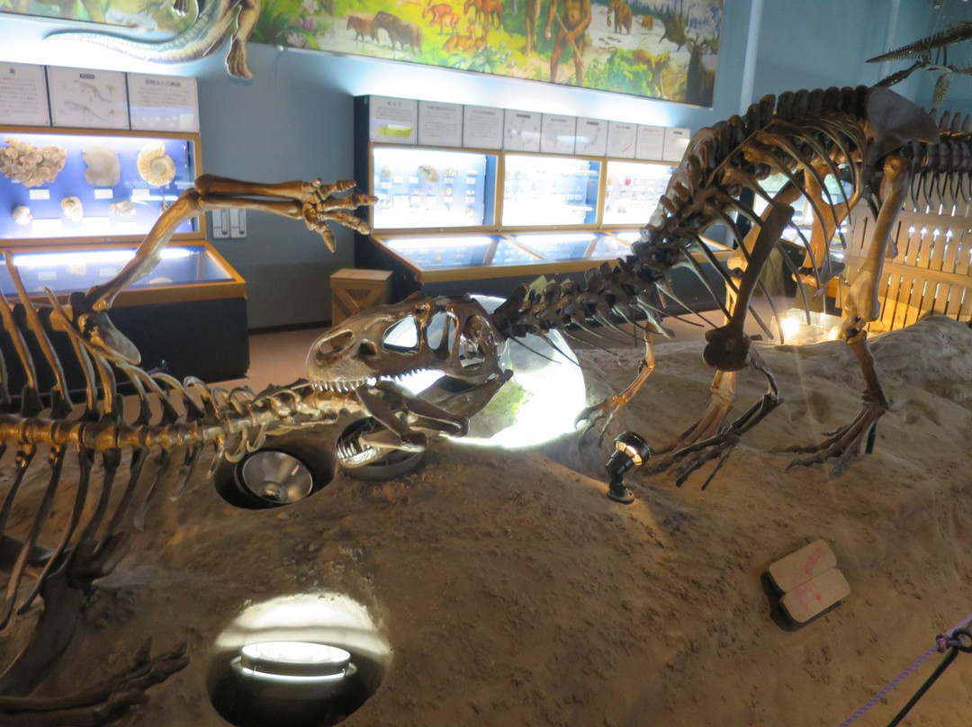 Shinshu Shinmachi Fossil Museum-长野县必去景点