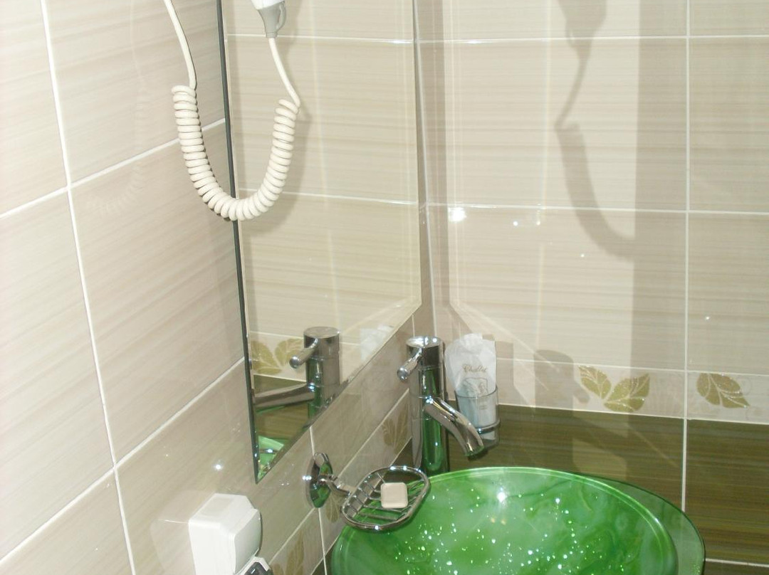 Petrovsky Hotel主图