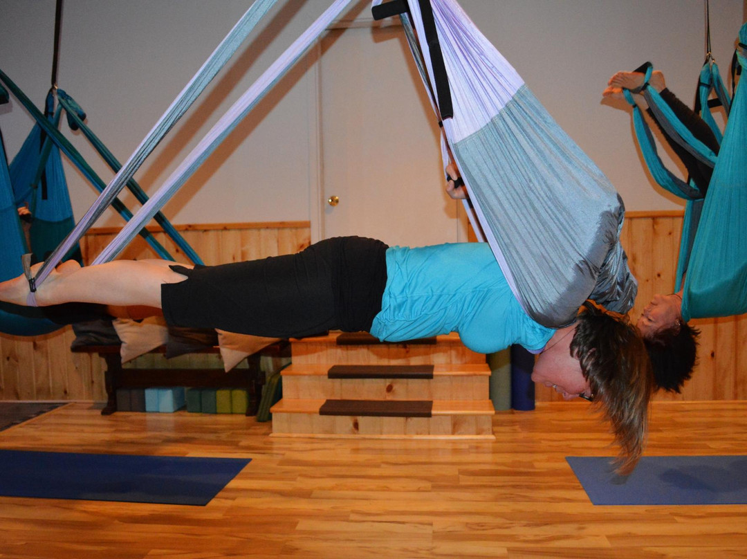 Kellyoga Studios景点图片