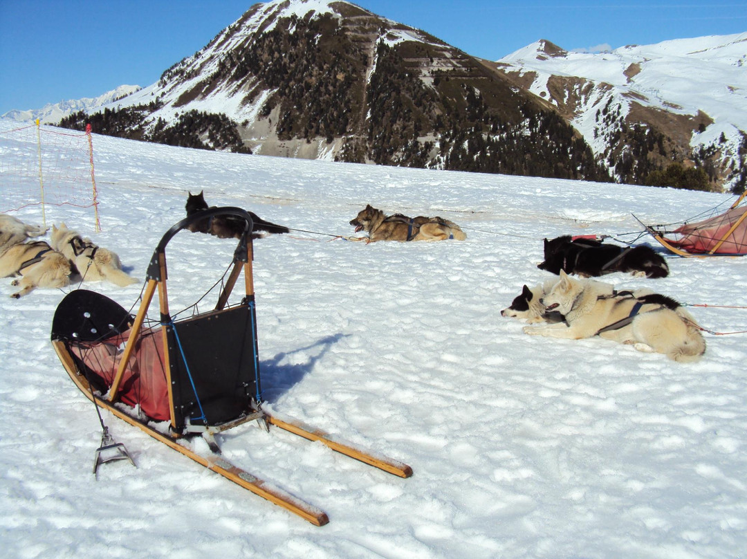 Chiens de Traîneaux-Macot-la-Plagne必去景点