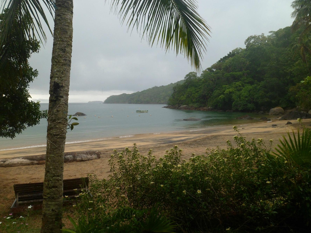 Brava do Sul Beach-乌巴图巴必去景点