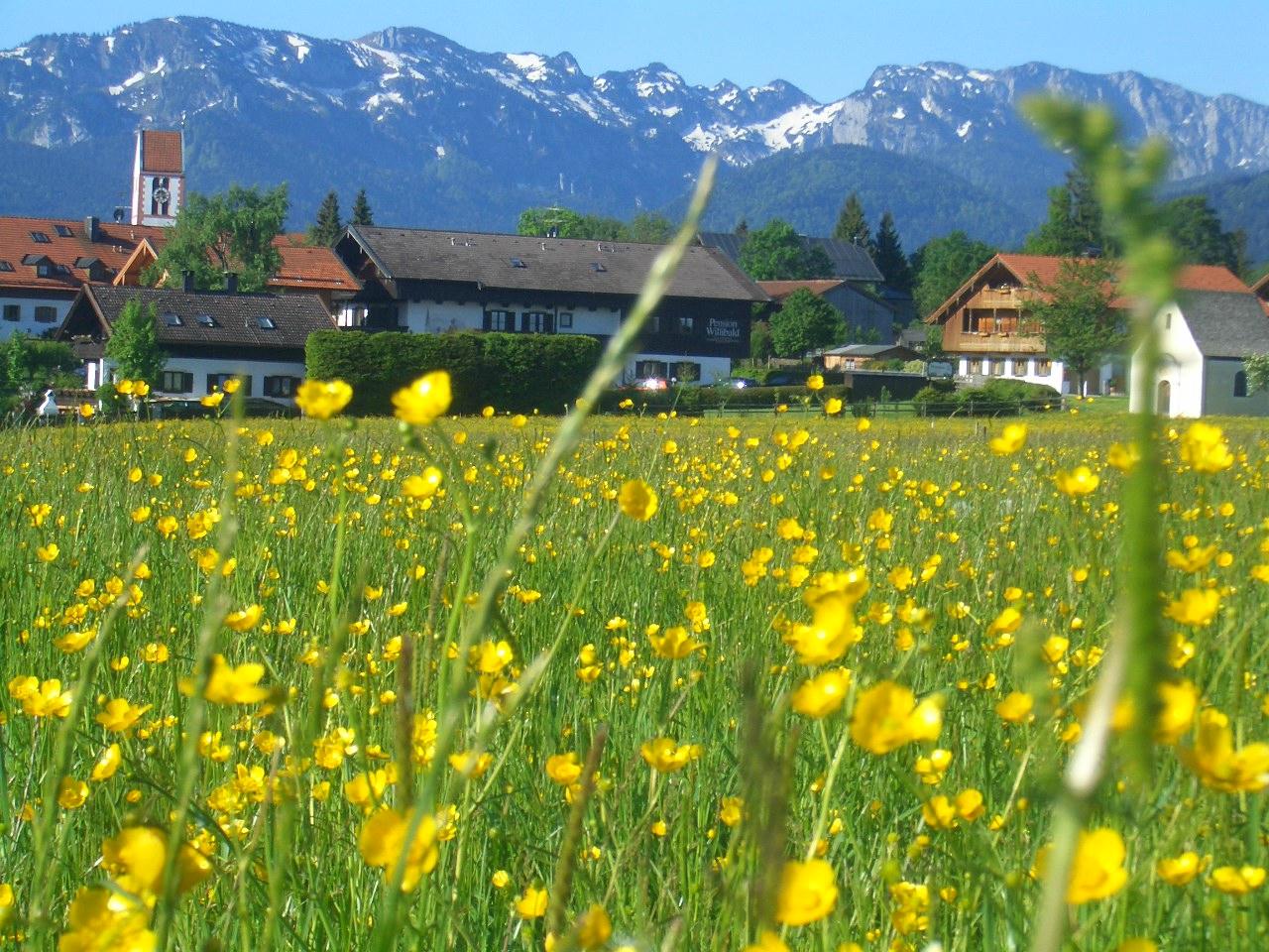 Pension Willibald-官方