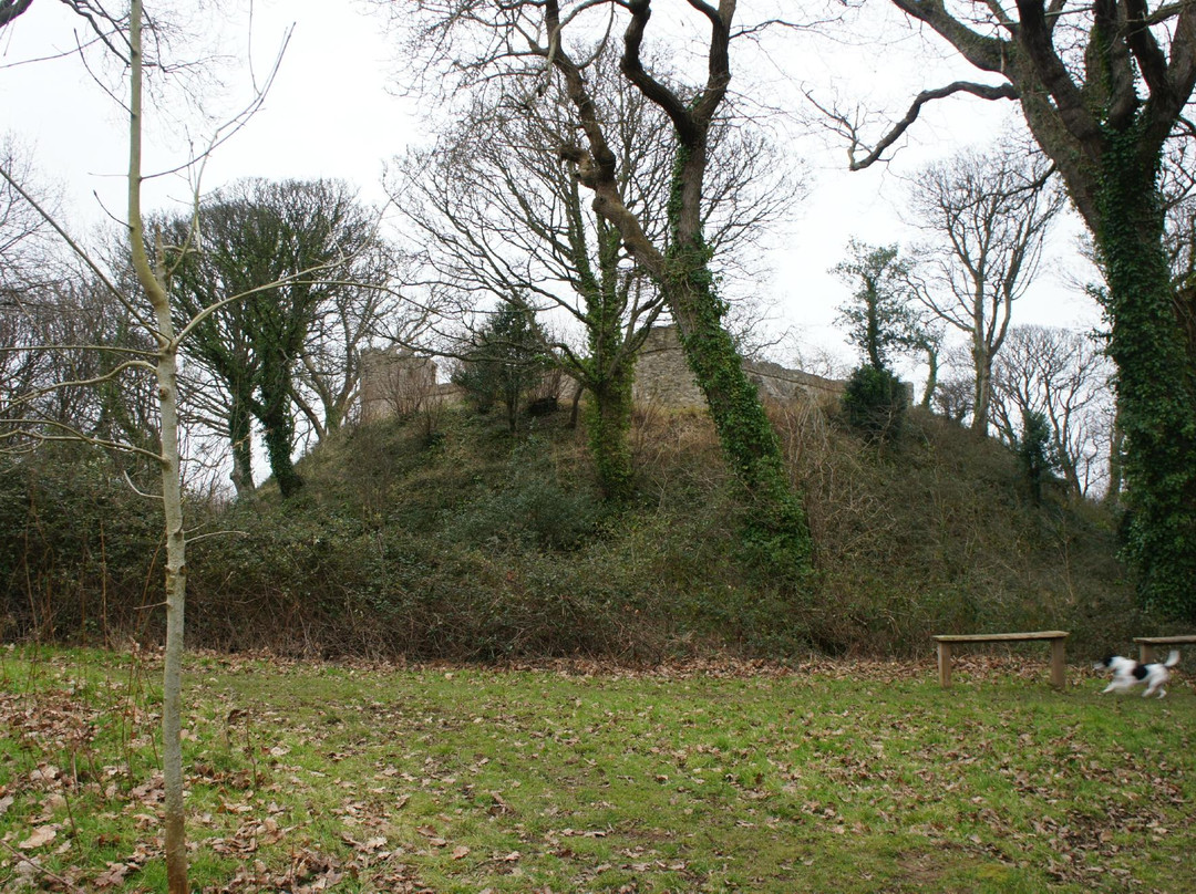 Aberlleiniog Castle-Llangoed必去景点