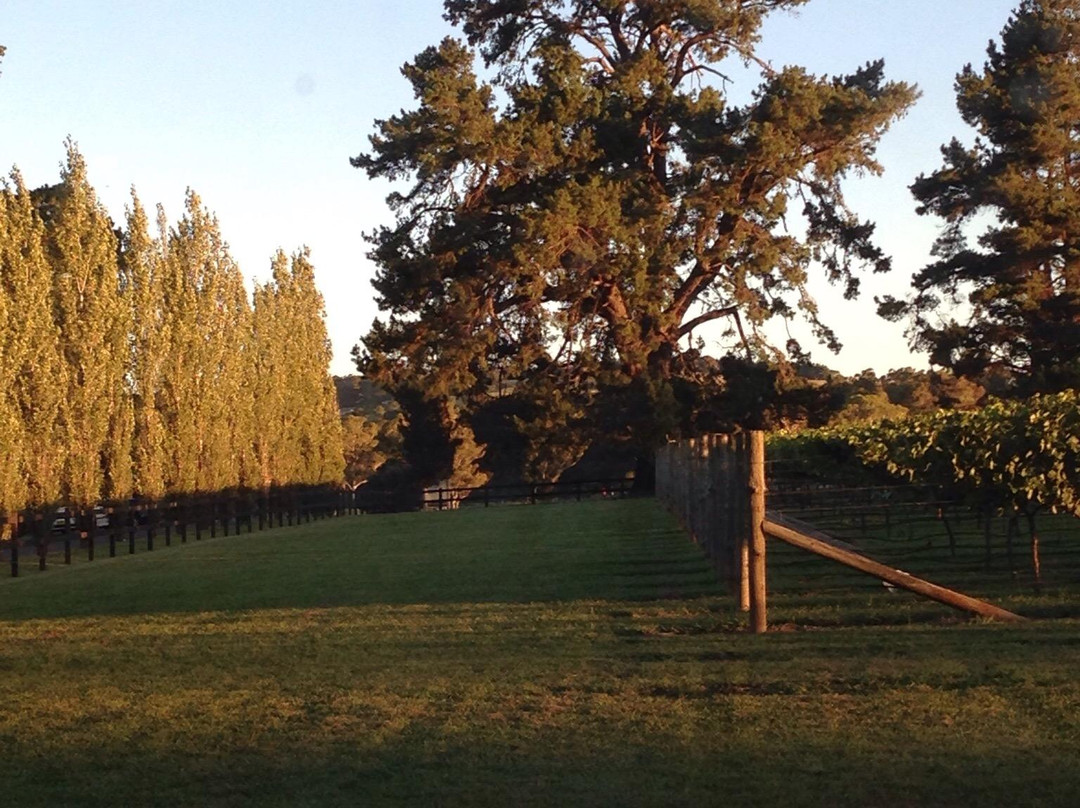 Bendooley Estate Book Barn-Berrima必去景点