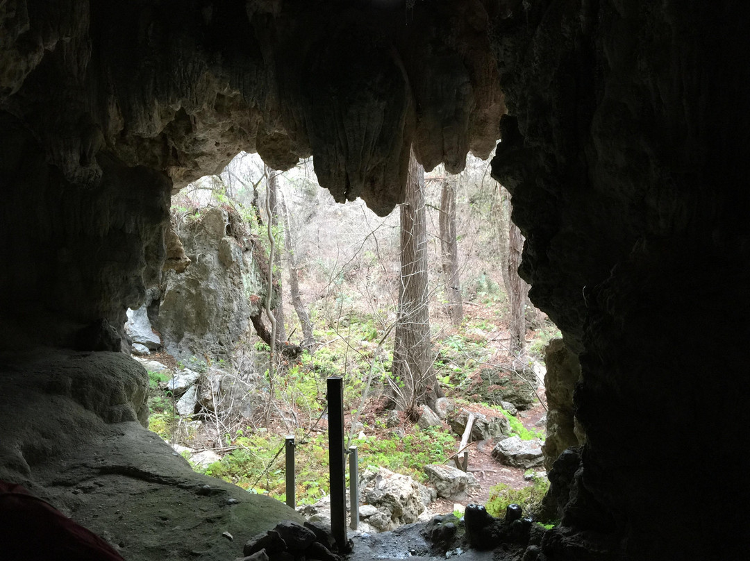 Westcave Outdoor Discovery Center-奥斯丁必去景点