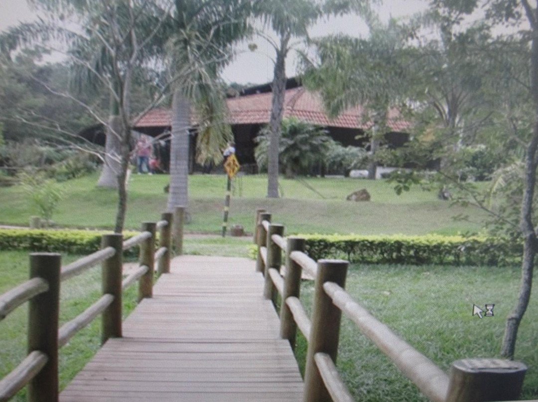 Parque Municipal Victório Siquierolli-乌贝兰迪亚必去景点