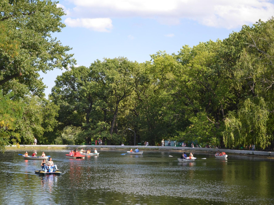 Lukomorye City Park-萨拉托夫必去景点