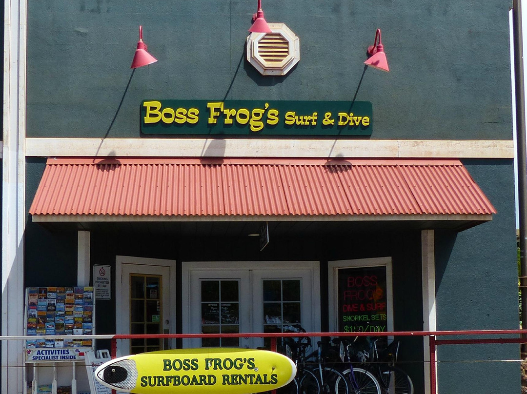 Boss Frog's Snorkel Rentals - Kaanapali-Napili-Honokowai必去景点