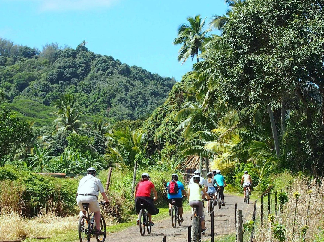 Storytellers Eco Cycle Tours-拉罗汤加必去景点