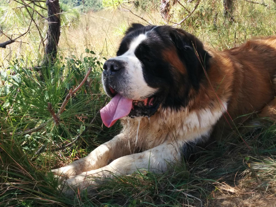 沙溪马圈46国际青年旅舍主图