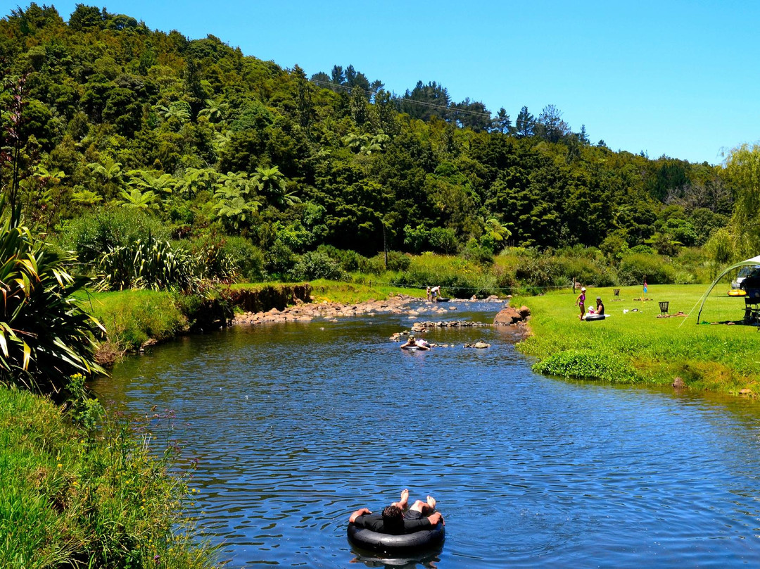 贝壳杉海岸十大假日公园