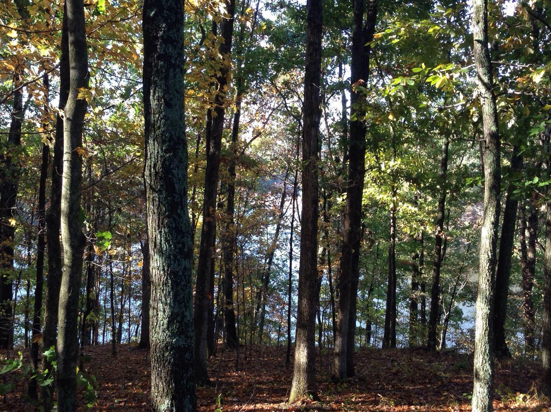 Burr Oak State Park-Glouster必去景点