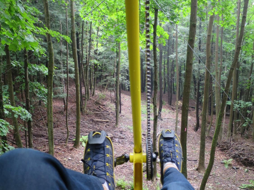 VeloVolant-Sutton必去景点