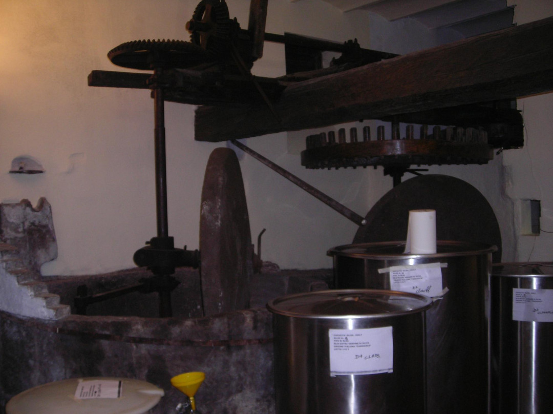 Museo Frantoio Panizzi-Badalucco必去景点