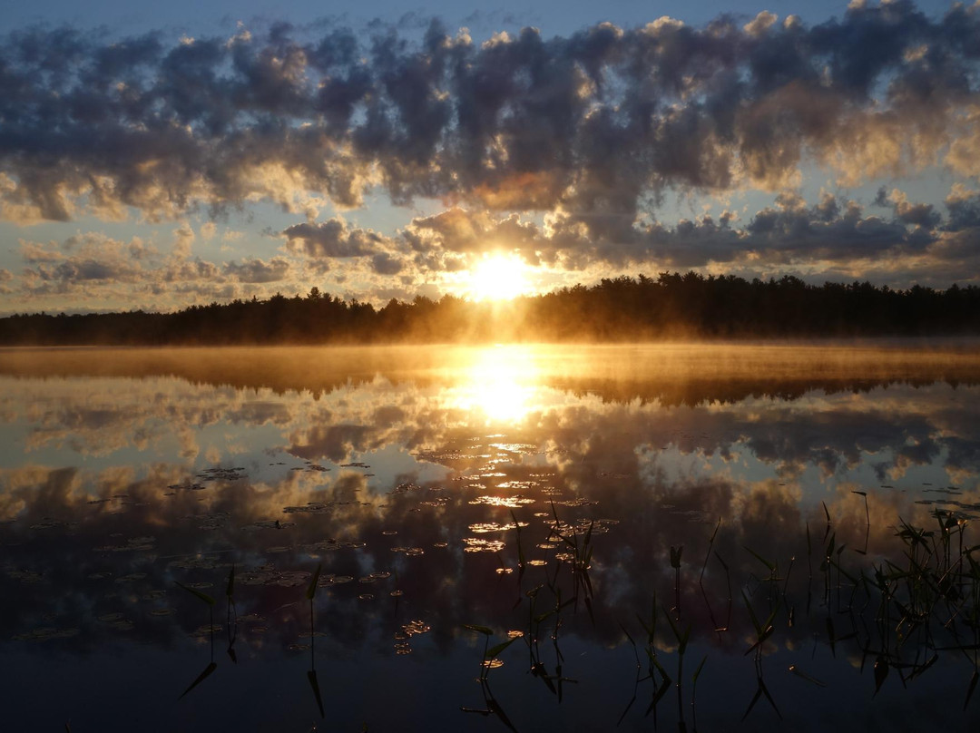 Kawartha Highlands Provincial Park景点图片