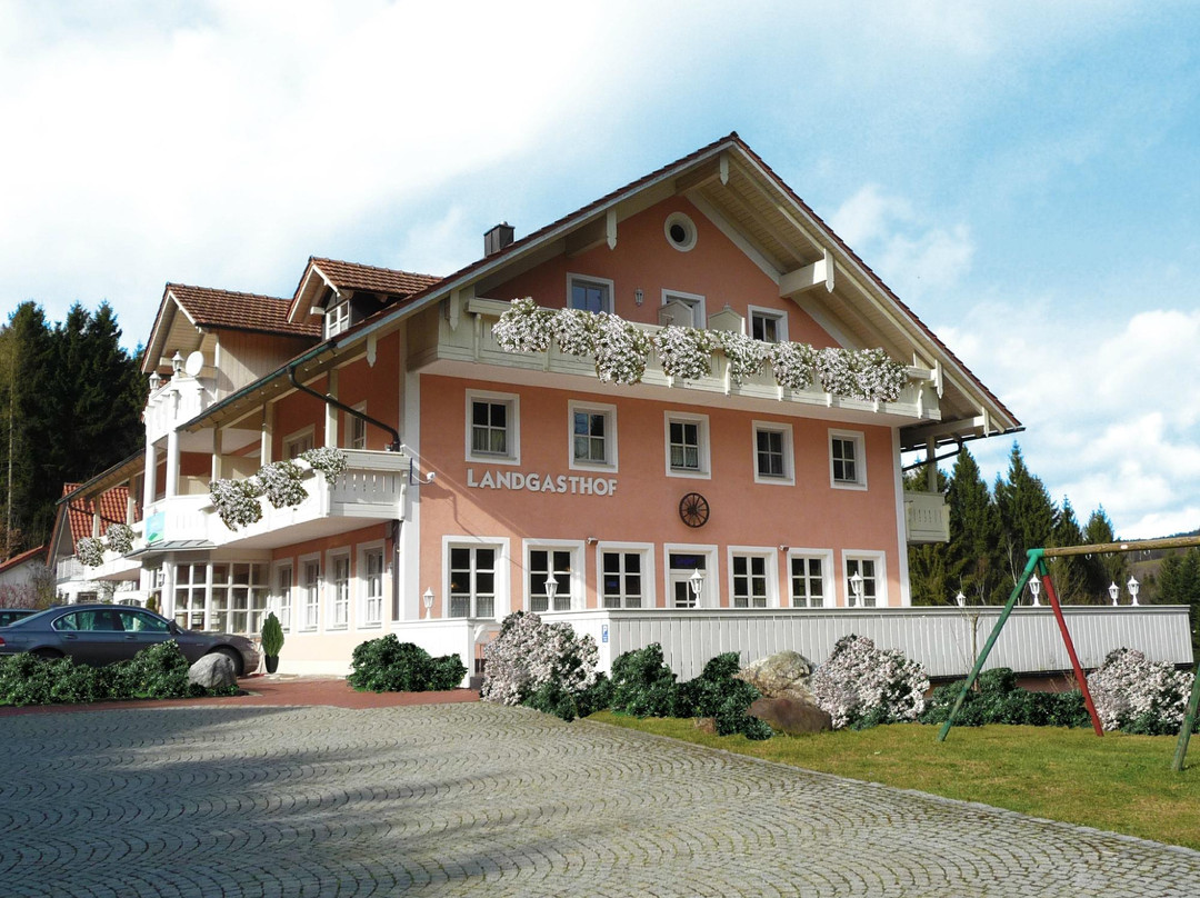Hamry酒店住宿-Landgasthof Zum Tierpark