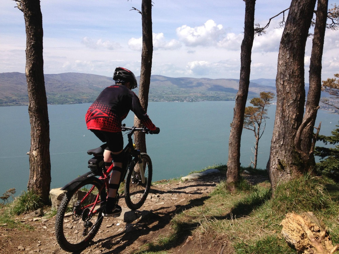 Rostrevor Mountain Bike Trails景点图片