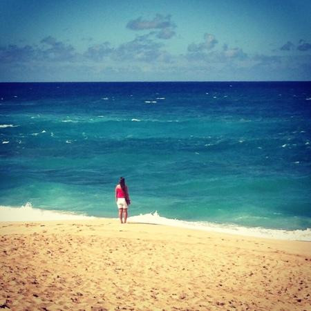 日落海滨公园-哈雷瓦必去景点