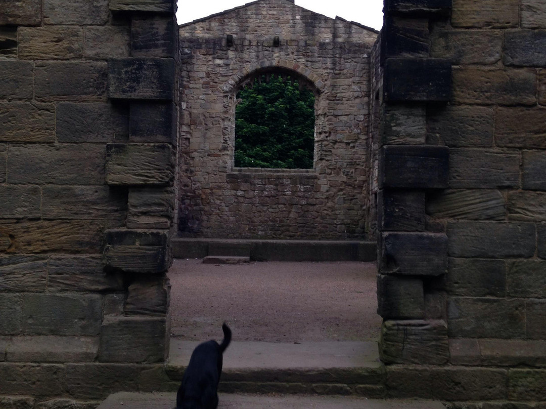 Hylton Castle景点图片