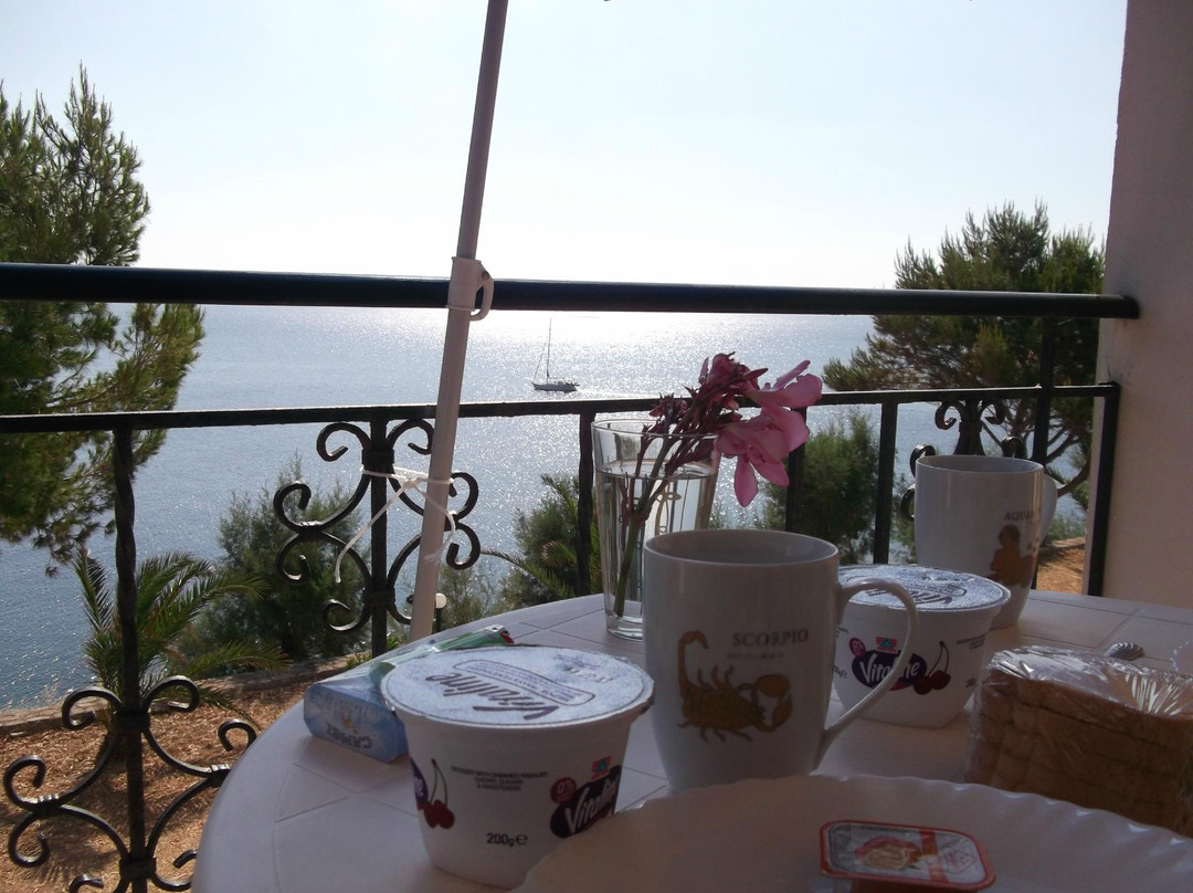 Palataki Absolute Blue主图