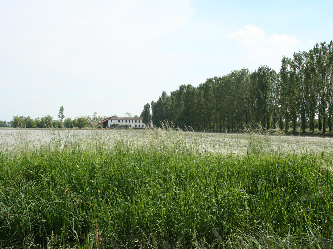 B&B Cascina Nidasio主图