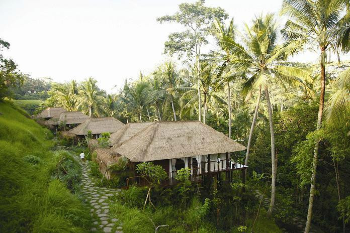 乌布肉桂水疗-乌布必去景点