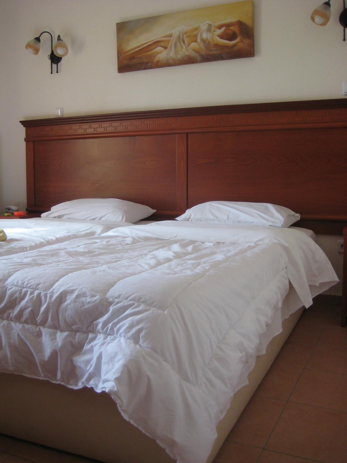 Olympia Guesthouse-客卧